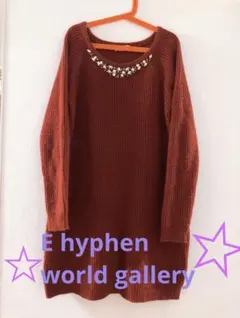 【値下げ】装飾付ニットワンピース E hyphen world gallery