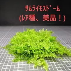 しゅん様 リクエスト 3点 まとめ商品