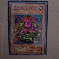 2025年最新】森の住人ウダンの人気アイテム - メルカリ