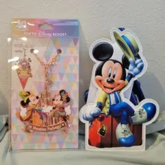 東京ディズニーリゾート バケーションパッケージ限定40周年バッグチャーム