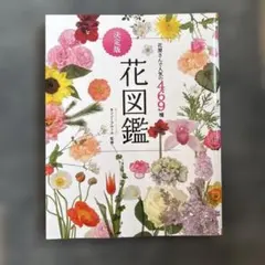 Item thumbnail for item ee970719-bf0c-451c-a527-151f36ac68f3