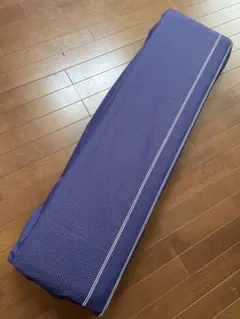 Item thumbnail for item eaac10a8-6655-4486-85d9-50e39c8e1c5b