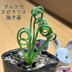 あずず様 リクエスト 3点 まとめ商品