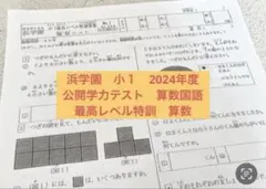 浜学園　小6 最高レベル特訓国語　2024年度　テキスト 浜学園 6年生 入試国語 完全制覇/合格完成への道 家庭学習用 第一〜四
