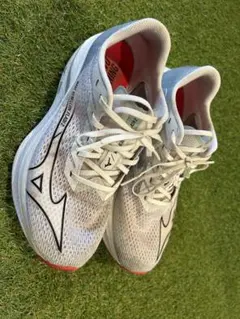 Item thumbnail for item 781e8013-1bbe-478c-9b12-686818d385cf