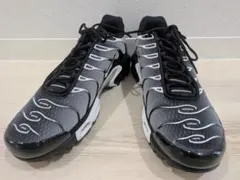 Nike Air Max Plus ブラック グレー 29cmのサムネイル