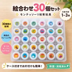知育玩具 絵合わせ30個 モンテッソーリ ハンドメイド 1・2・3歳