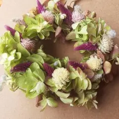 ドライフラワー　カシワバアジサイ　秋色紫陽花　リース