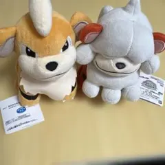 ポケモン フォーカス ぬいぐるみ 地方別のすがた ガーディ ヒスイガーディのサムネイル