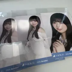 乃木坂46 2025年11月月間ランダム生写真 スペシャル衣装47 長嶋凛桜