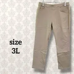 【3L】ウエストゴム裏ボアカジュアルパンツ 大きめサイズ 無地 ストレート