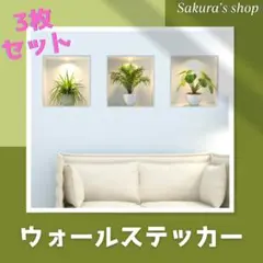 ウォールステッカー 壁紙 インテリア 壁飾 観葉植物 シール 3枚セット