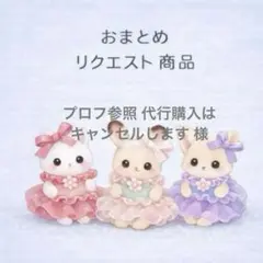 プロフ参照 代行購入はキャンセルします様 リクエスト 2点 まとめ商品