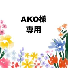 AKO様 リクエスト 2点 まとめ商品