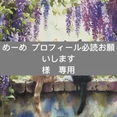 めーめ プロフィール必読お願いします 様　専用