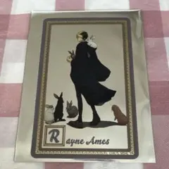 マッシュル　ドット　ナンジャ　セット売り マッシュル ドット ナンジャ セット売り マッシュル ドット ナンジャ