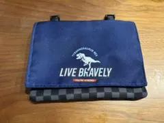 Item thumbnail for item 59560b88-45cb-48a5-b46b-d862bbe9a7bb