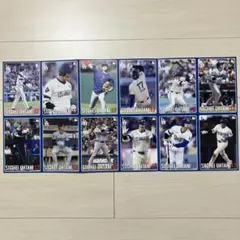 大谷翔平　2025ポストカード　12枚セット