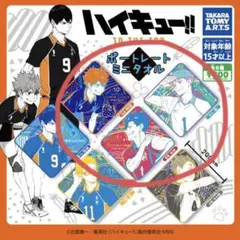 Item thumbnail for item b0d54550-fe4c-4192-bce4-8ffc2bd3581b