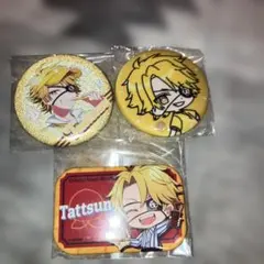 からぴち　たっつん　缶バッジ　ダイナー　刺繍　ウェンディーズ　コラボ　缶バ　等身