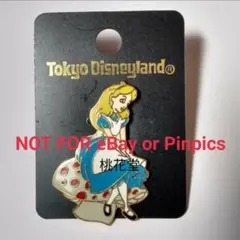 ディズニーリゾート　ピンバッジ　希少品 2025年最新】東京ディズニーリゾート ピンズ・ピンバッジ・缶バッジの