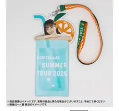 乃木坂46 SUMMER TOUR 2025 チケットホルダー