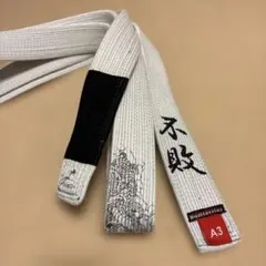 Item thumbnail for item 17a6b90d-397f-4057-95b4-5cba2743a3c1