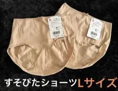 ワコール　すそぴたショーツ　Lサイズ2枚セット　新品