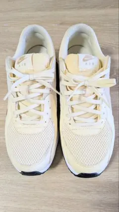 NIKE ナイキ W AIRMAX EXCEE WCD5432 限定モデル