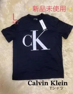 ★新品★カルバンクライン　ブラックTシャツ Ｌサイズ メンズTシャツ