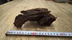 2025年最新】ホーンウッド adaの人気アイテム - メルカリ