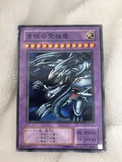 2026年最新】遊戯王 ブルーアイズアルティメットドラゴン 25の人気