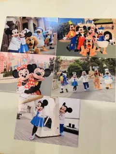 新品 ディズニーランド 実写クリアファイル 5枚セット ミッキー ミニー