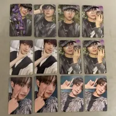 &TEAM Back to Life トレカセット (ウィジュ)