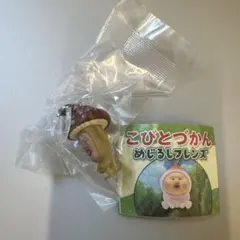 こびとづかん めじるしフレンズ ベニキノコビト
