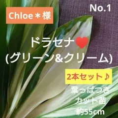 Chloe＊様 リクエスト 3点 まとめ商品
