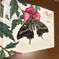 新版 ちょう あげはの一生　福音館書店