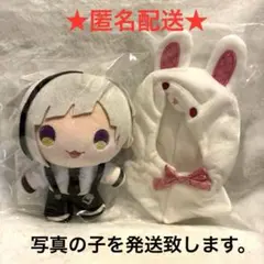 文豪ストレイドッグス くじ引き堂 着せ替えっこぬいぐるみ ポーチ 中島