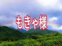 2026年最新】蜂屋柿の人気アイテム - メルカリ