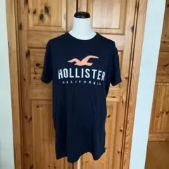 HOLLISTER メンズTシャツ　Ｓサイズ