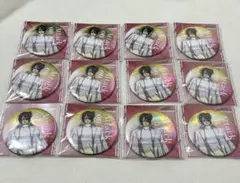 進撃の巨人 ハンジ Reflect Memories 缶バッジ まとめ売り