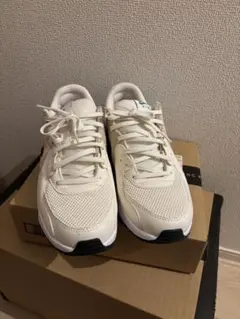 Nike Air Max スニーカー ホワイト