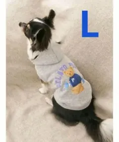 ジェラートピケ「CAT＆DOG」スポーティーベア裏毛プルオーバー　グレー(L)