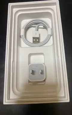 【新品・未使用】Apple 純正Lightning ケーブル アダプタ 充電器
