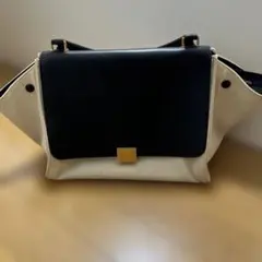 Item thumbnail for item 3a532b32-edea-4f8e-898e-86ed060c4d64