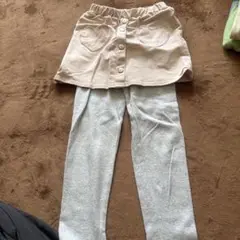 プティマイン スカッツ120