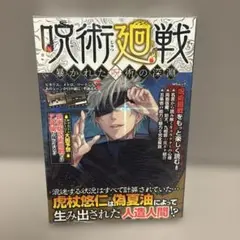 呪術廻戦 暴かれた呪術の深淵