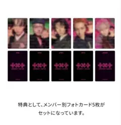 TXT 7TH YEAR フォトホルダー特典　メンバー別フォトカード5枚セット