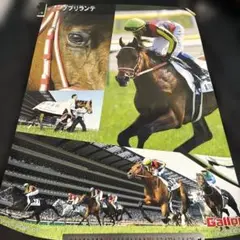 2026年 フェブラリーステークス コスタノヴァ ポスター 2026年 フェブラリーステークス コスタノヴァ ポスター - メルカリ