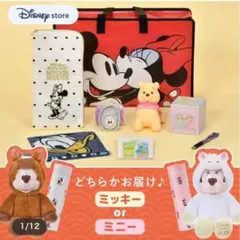 Item thumbnail for item 8c07e06c-5ec9-452e-a354-7fc0c1ab7225